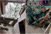    तौक्ते चक्रीवादळाचा जिल्ह्याला तडाखा