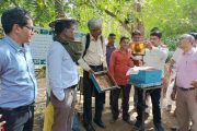 कोसबाड कृषी विज्ञान केंद्रात जागतिक मधमाशी दिवस साजरा