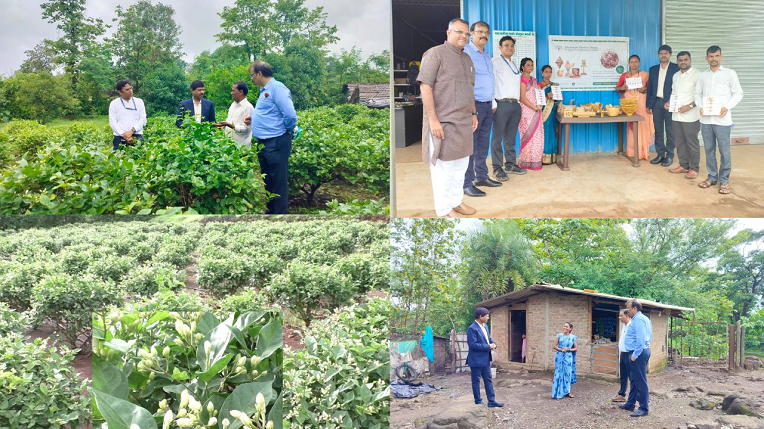 नाबार्डच्या मदतीनं पालघर जिल्ह्यातल्या अनेक आदिवासी कुटुंबांना मिळतोय रोजगार