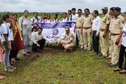 सोनोपंत दांडेकर महाविद्यालयात वनमहोत्सव संपन्न