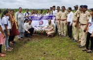 सोनोपंत दांडेकर महाविद्यालयात वनमहोत्सव संपन्न