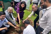 बांबू शेती बदलेल आदिवासी समुदायाचे जीवनमान