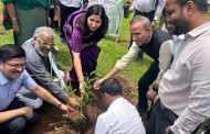 बांबू शेती बदलेल आदिवासी समुदायाचे जीवनमान