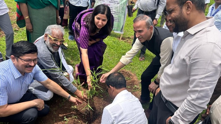बांबू शेती बदलेल आदिवासी समुदायाचे जीवनमान